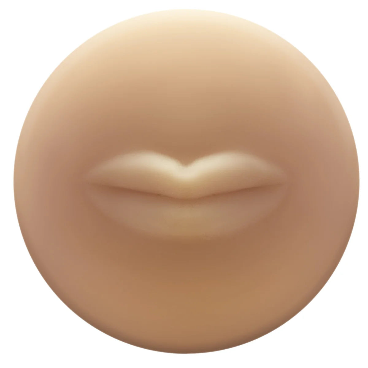 Autoblow 2+ avec manchon buccal taille A