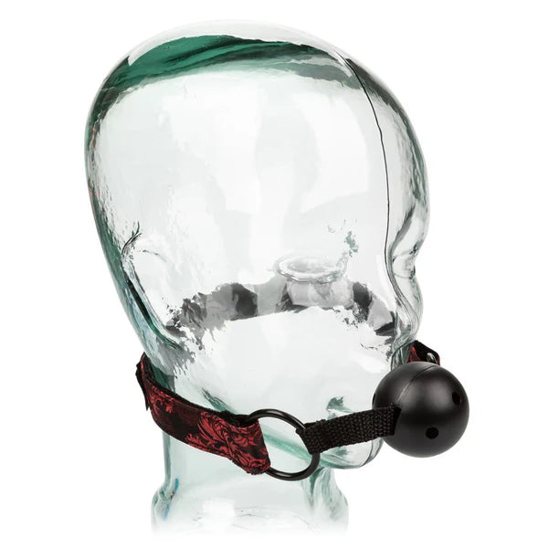 Calexotics - Scandal breathable ball gag with cuffs