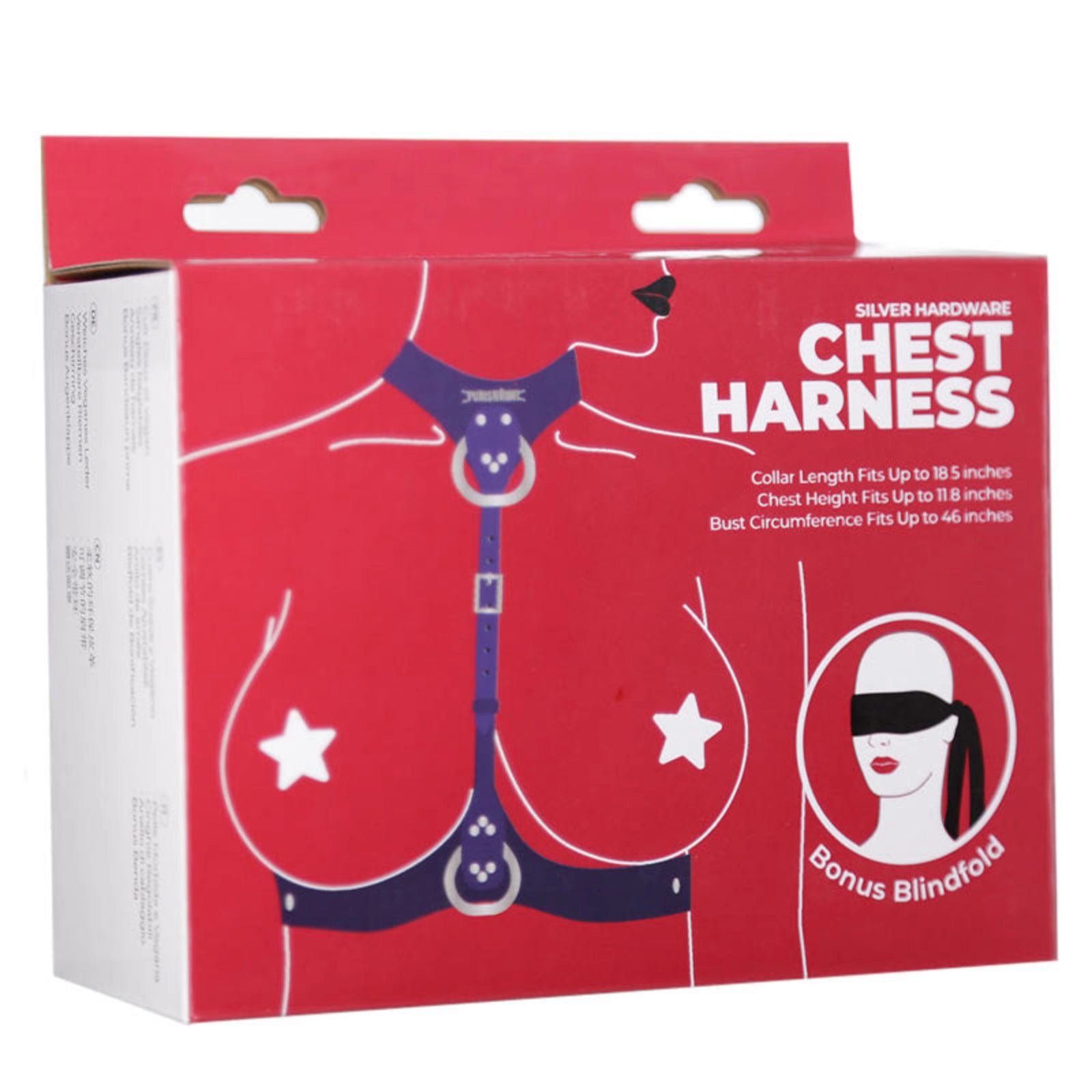 Punishment silver hardware chest harness