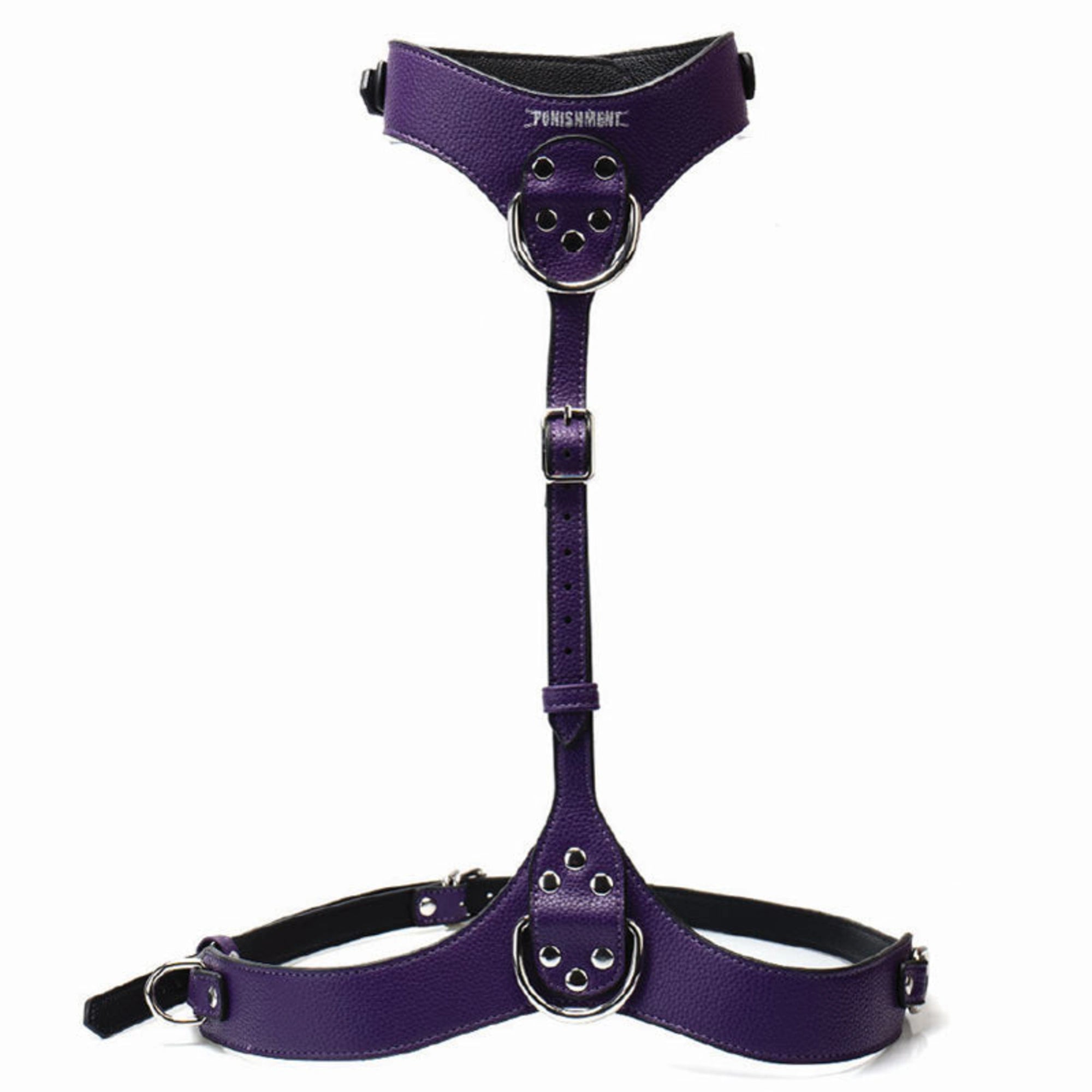 Punishment silver hardware chest harness