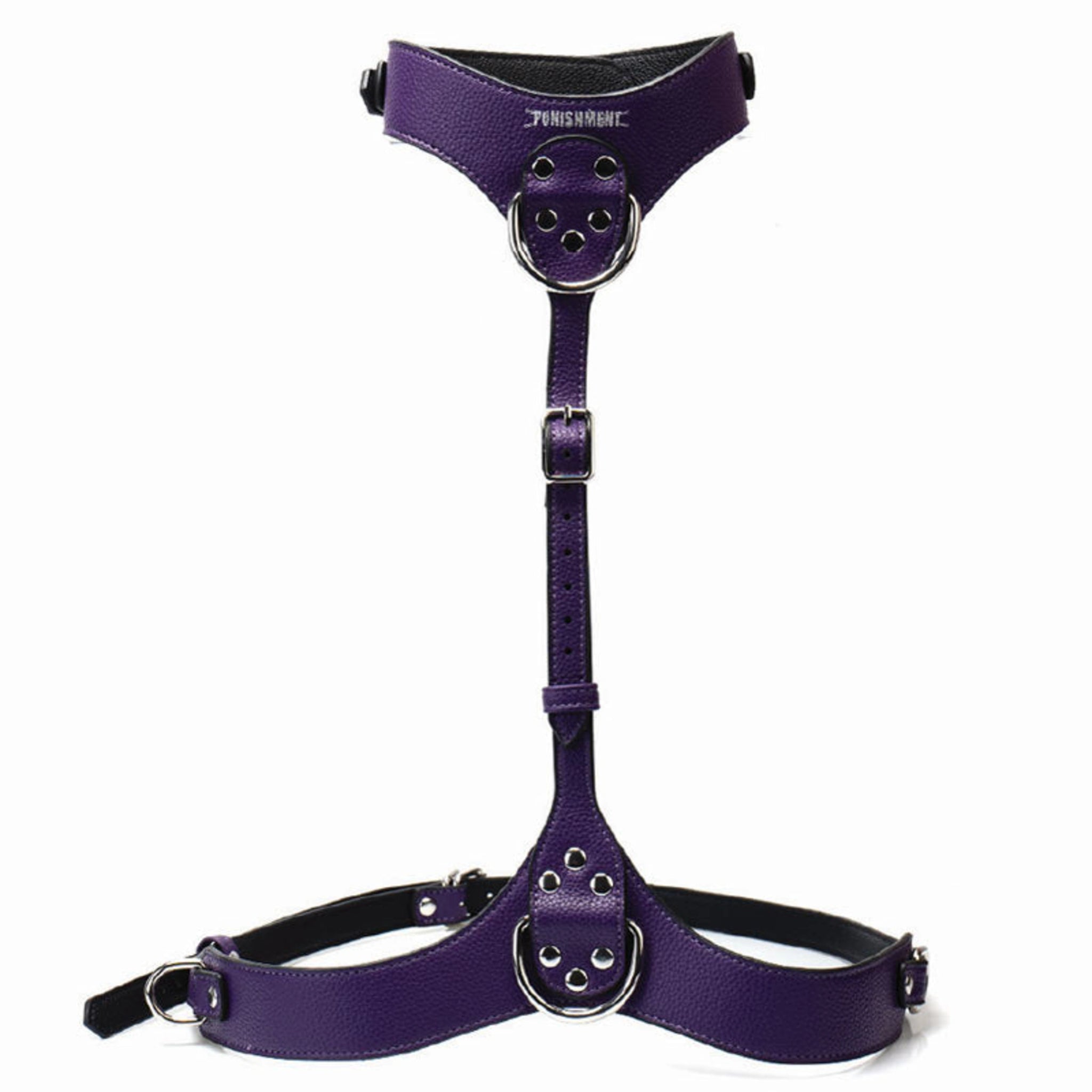Punishment silver hardware chest harness