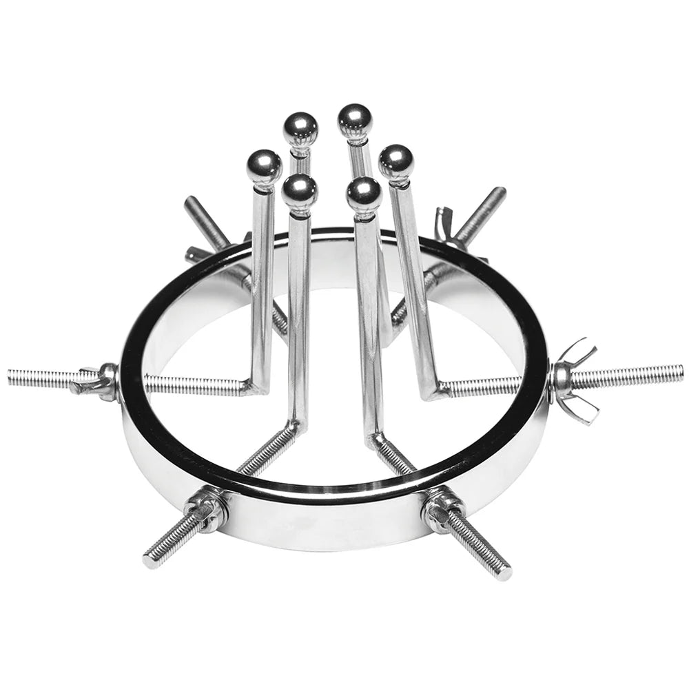 MasterSeries - Oculus stainless Steel anal explorer