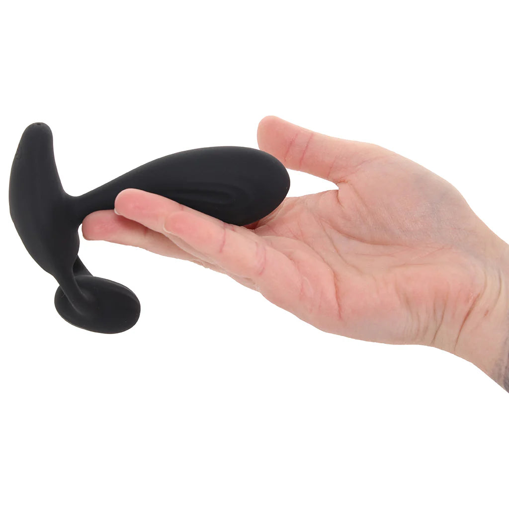 Renegade Echo Prostate Vibe