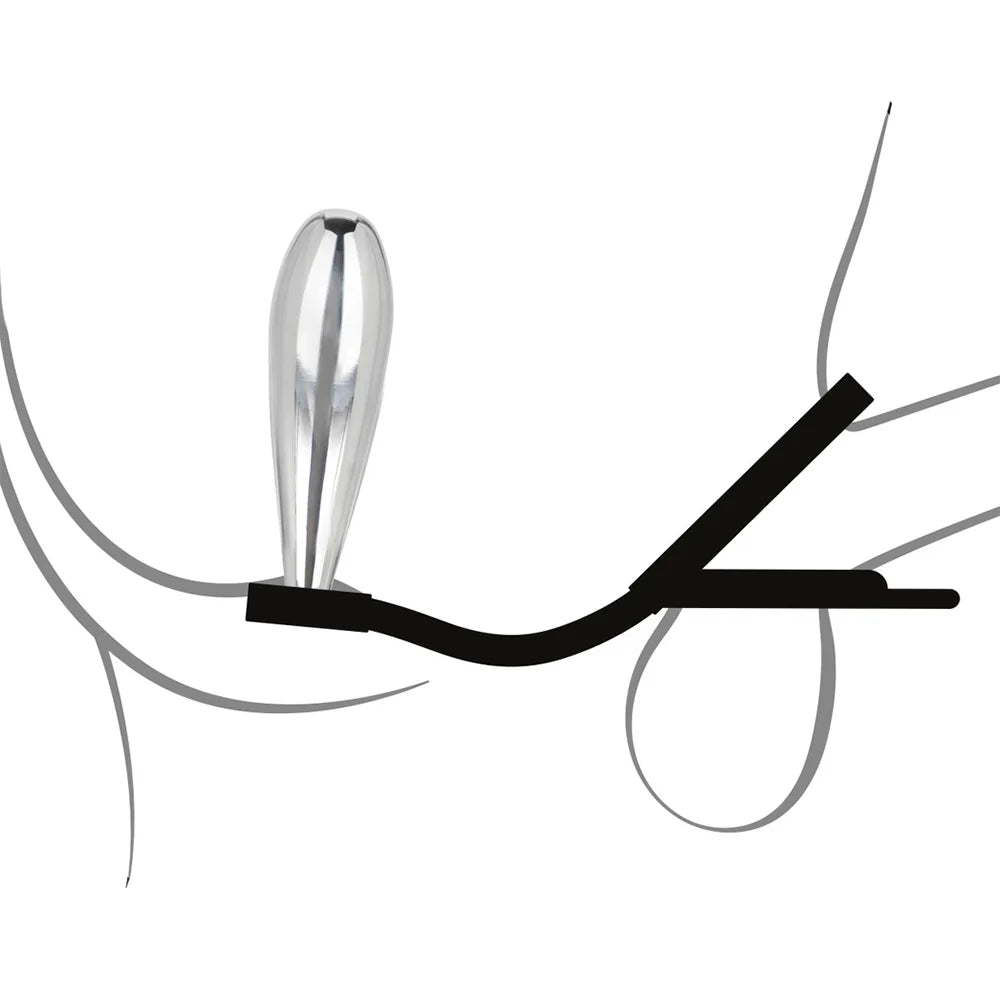 Calexotics - Star Fucker