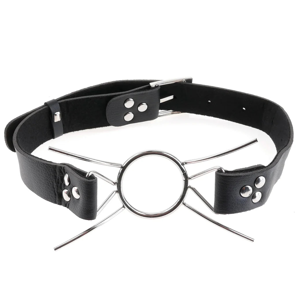 Fetish Fantasy Extreme - Spider Gag