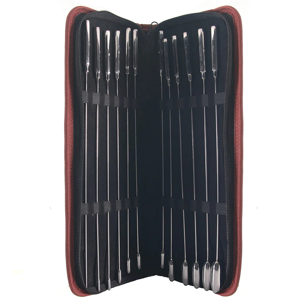 Rouge Ensemble de 12 pièces en acier inoxydable pour sondage urétal