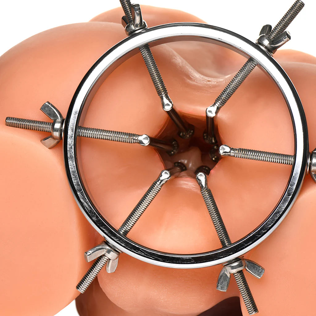 MasterSeries - Oculus stainless Steel anal explorer