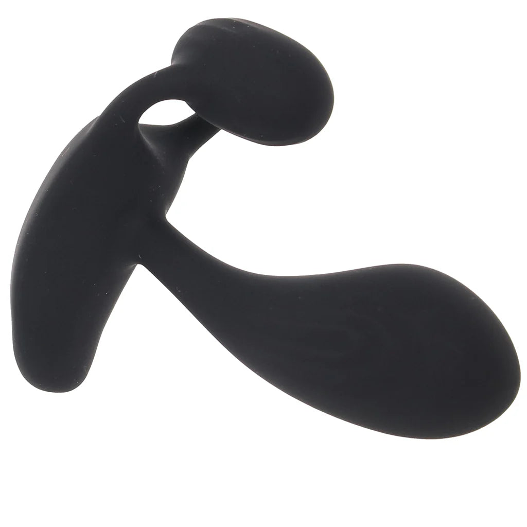 Renegade Echo Prostate Vibe