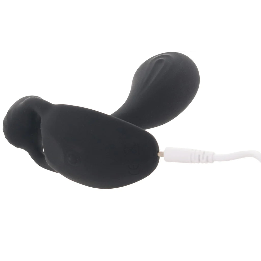 Renegade Echo Prostate Vibe